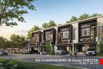 Chester The Hummingbird - Sinarmas Land